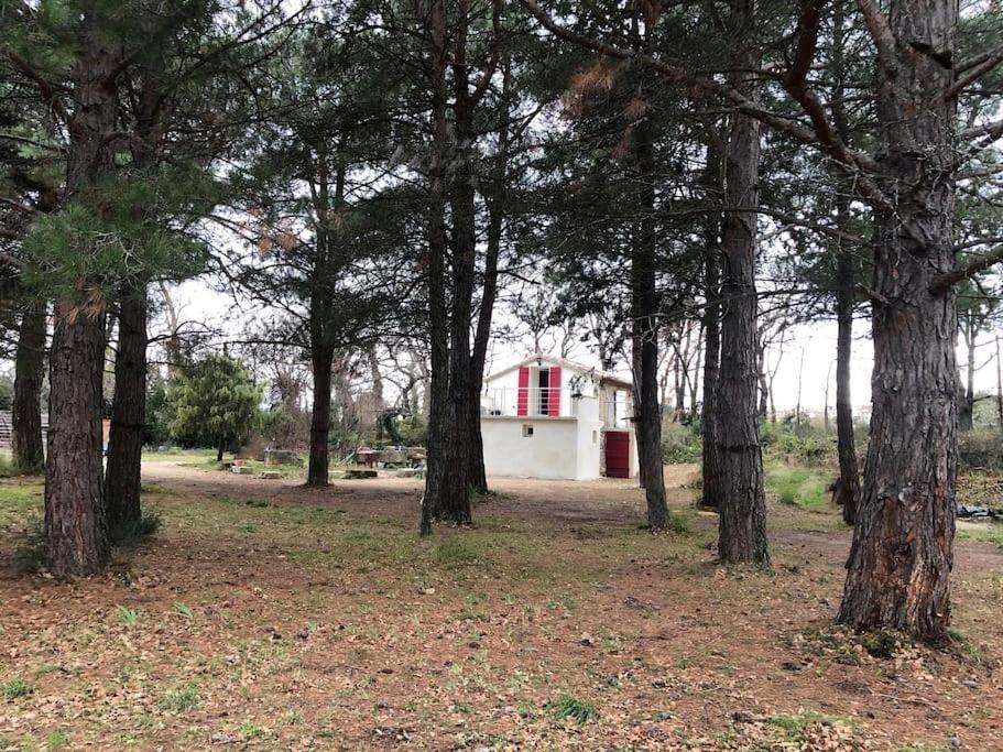 Le Cabanon De Vally Caromb Exterior photo